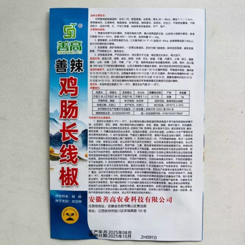 善椒鸡肠长线椒干鲜两用线椒种子果长25~32果皮微皱皮
