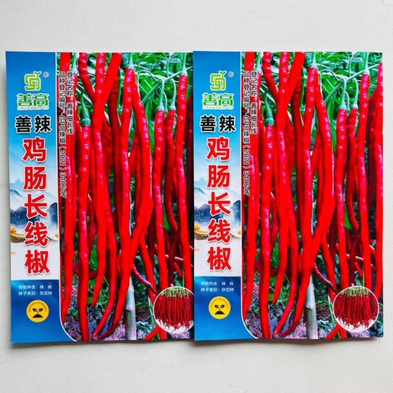 善椒鸡肠长线椒干鲜两用线椒种子果长25~32果皮微皱皮