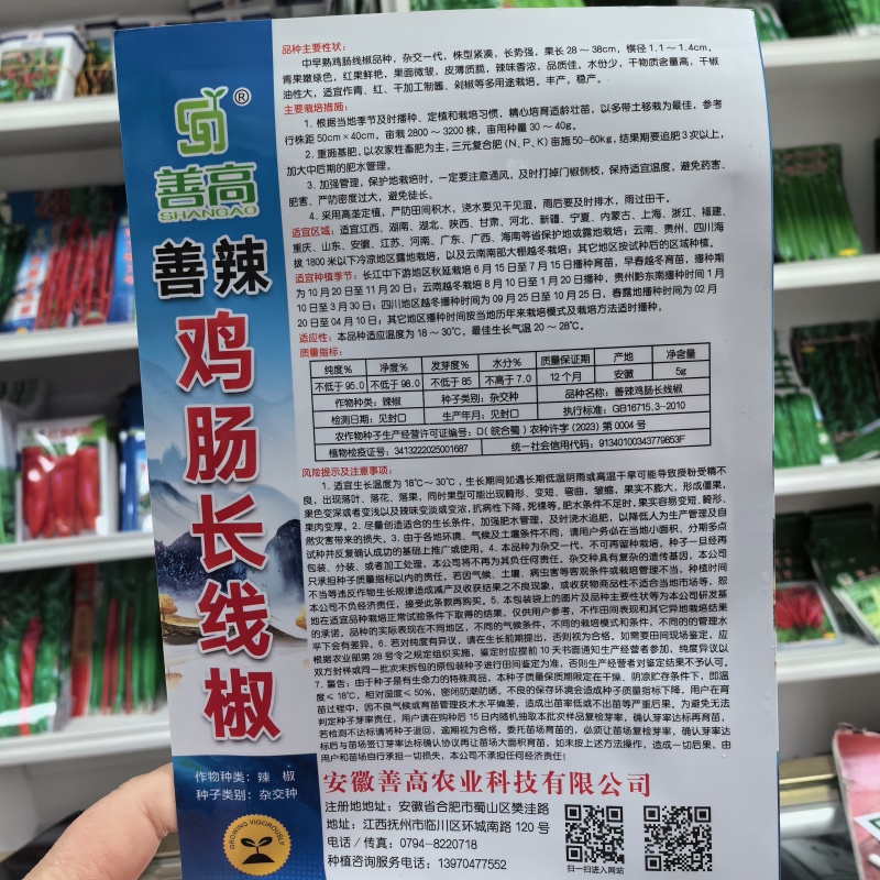 善椒鸡肠长线椒干鲜两用线椒种子果长25~32果皮微皱皮
