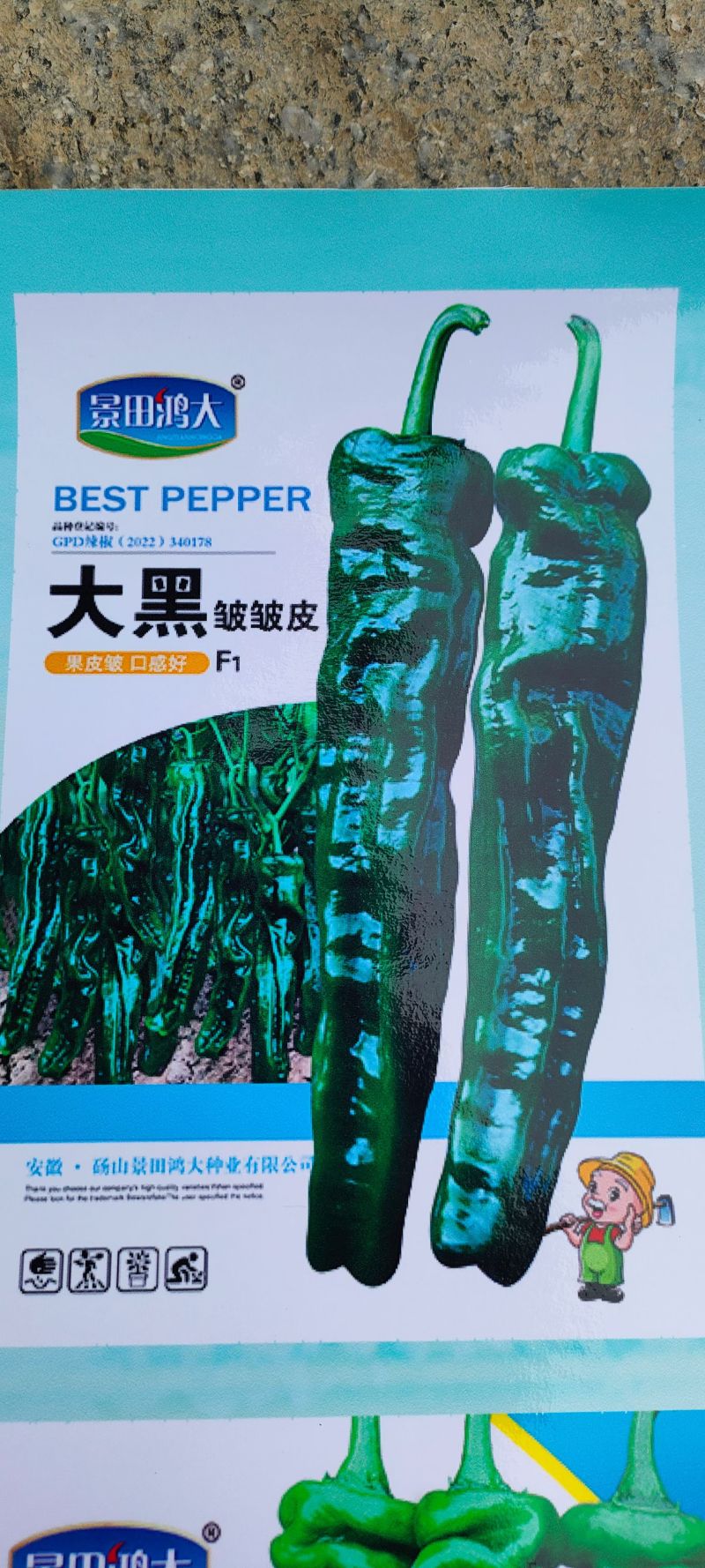 辣椒苗线椒苗，螺丝椒/小米辣，抗涝高产/签合同保回收