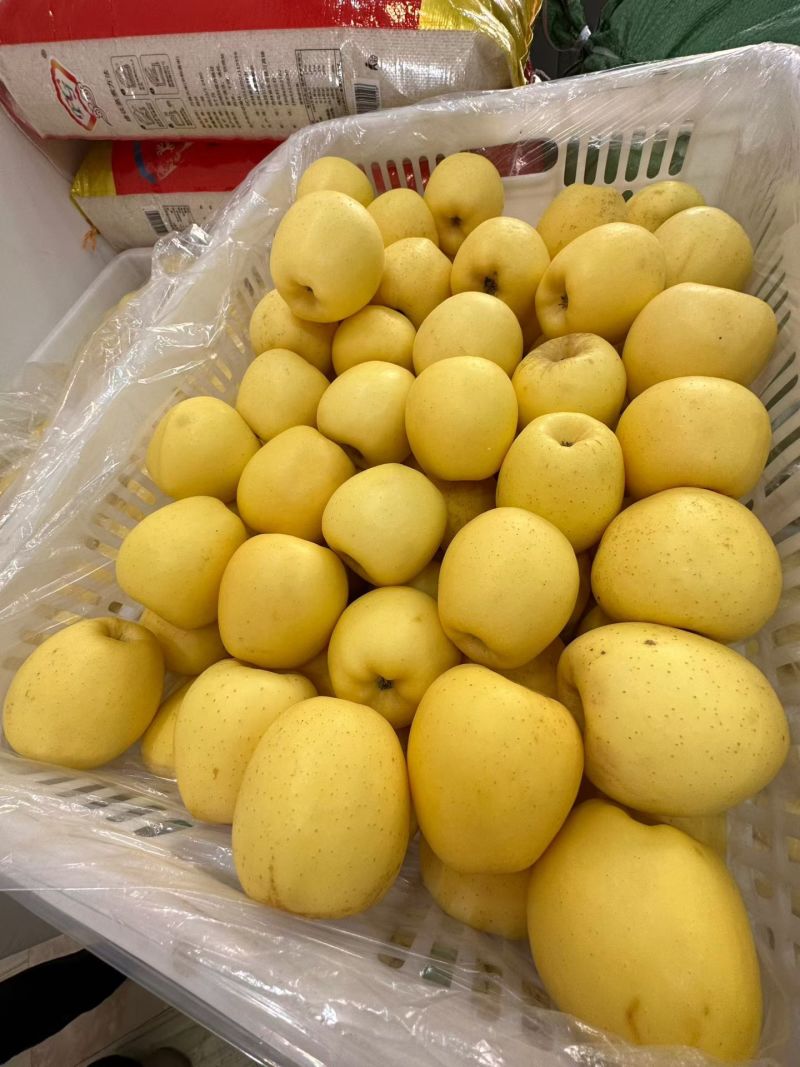 维纳斯黄金苹果