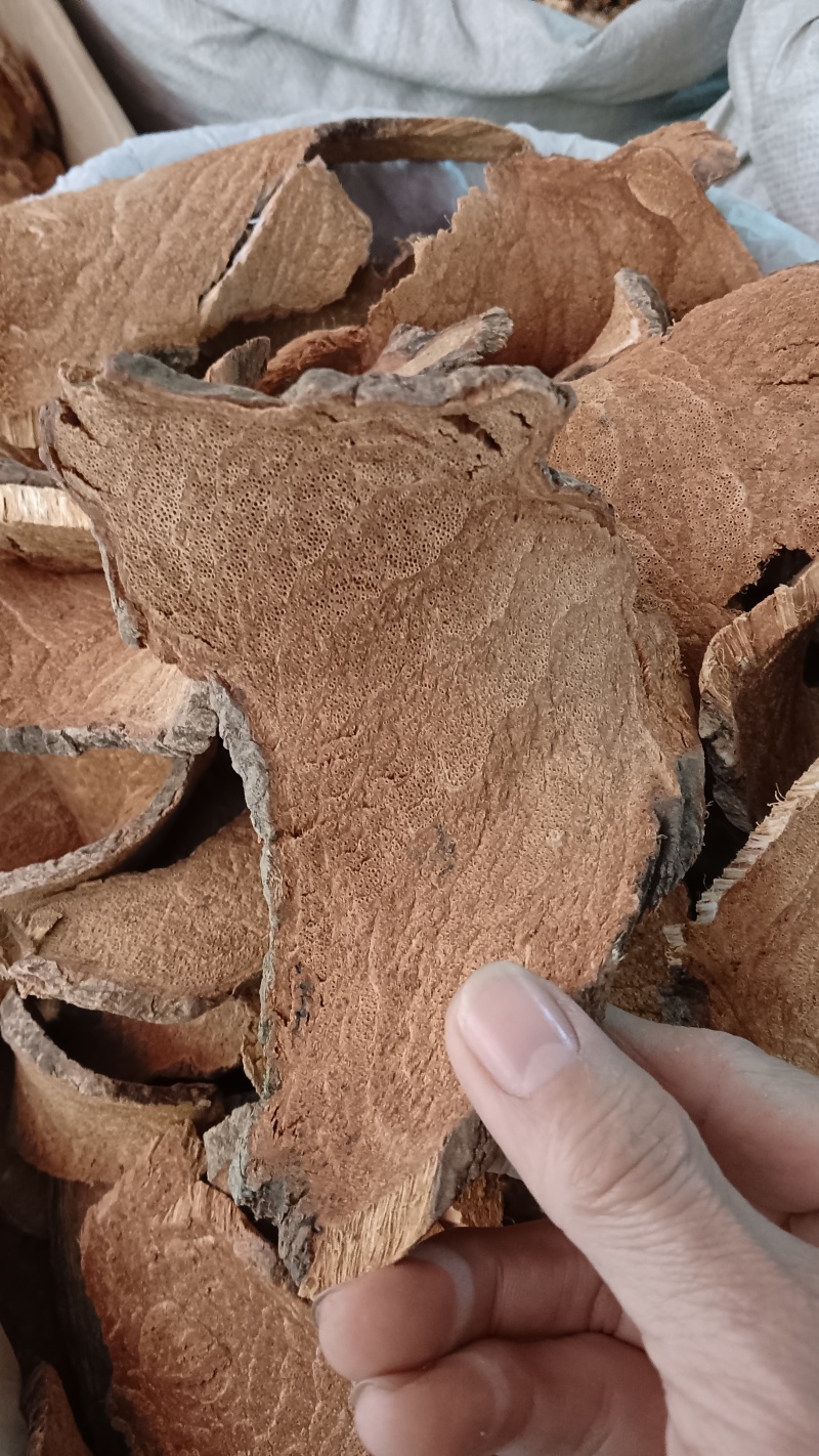 中药材（过江龙）品优价廉，欢迎老板选购