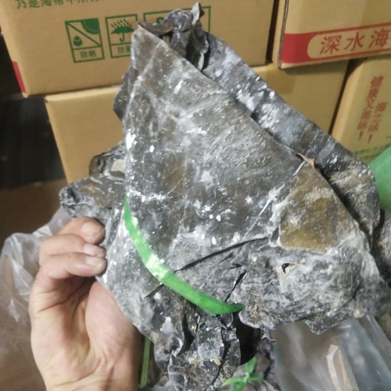 海带球剪头去尾海带片海带团海带二俩片两棵菜产地直发