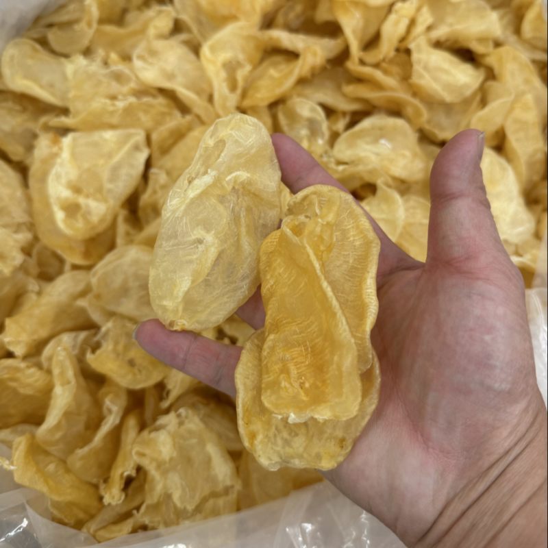 本港鸡蛋胶60头花胶鱼胶酒店餐饮专用鱼胶
