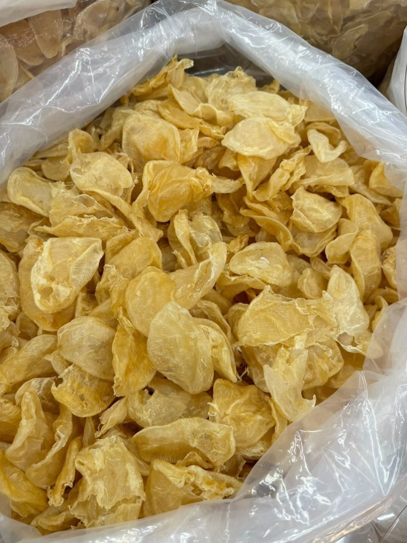 本港鸡蛋胶60头花胶鱼胶酒店餐饮专用鱼胶