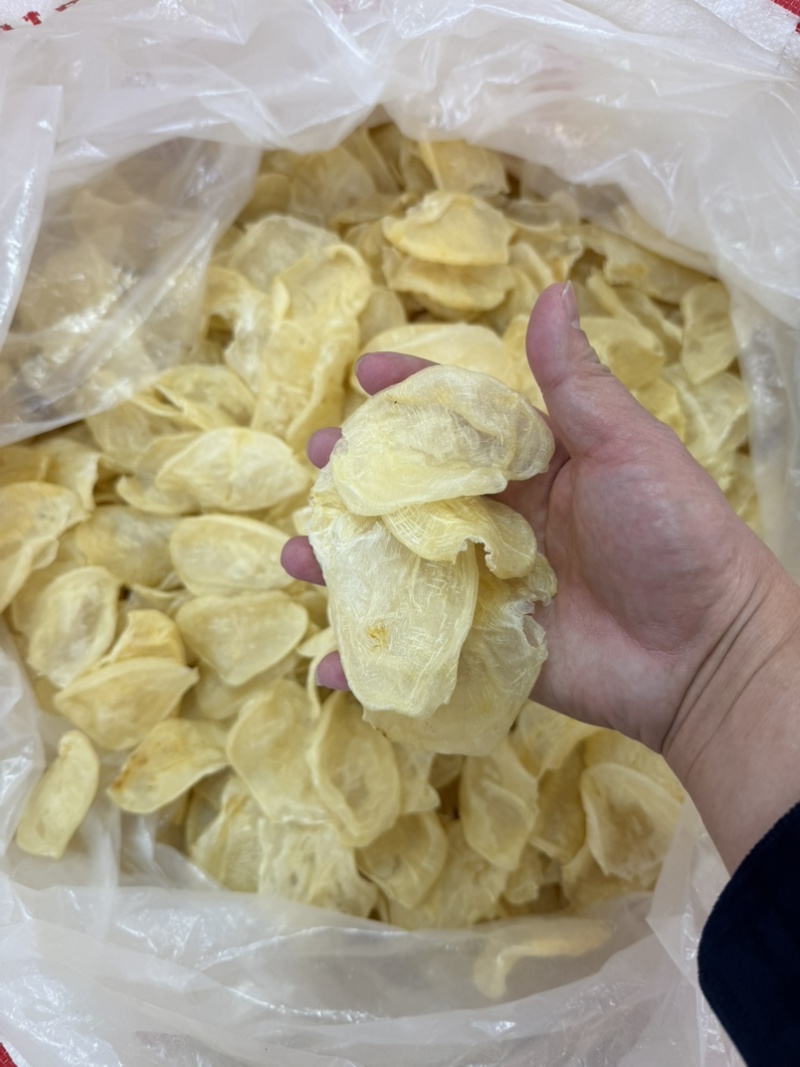 本港鸡蛋胶60头花胶鱼胶酒店餐饮专用鱼胶