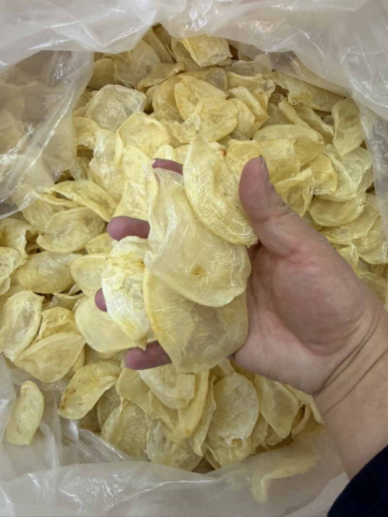 本港鸡蛋胶60头花胶鱼胶酒店餐饮专用鱼胶