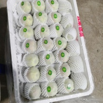 库尔勒香梨