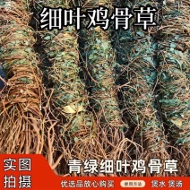鸡骨草