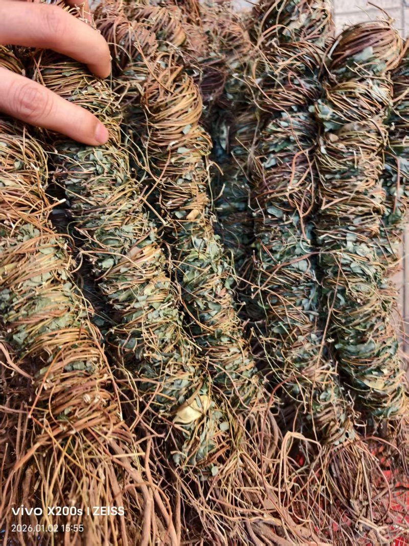鸡骨草