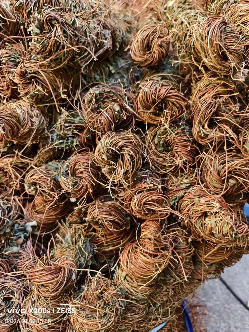 鸡骨草