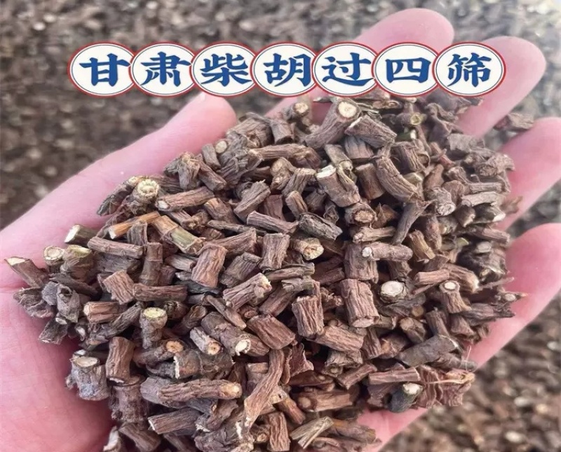柴胡中药材甘肃柴胡干货柴胡中药材批发