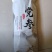 岷县无硫精品党参条
