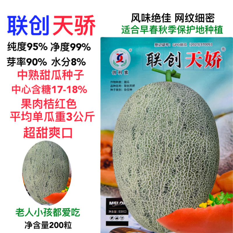 联创天娇哈密瓜种子耐裂西州蜜网纹哈蜜瓜种籽
