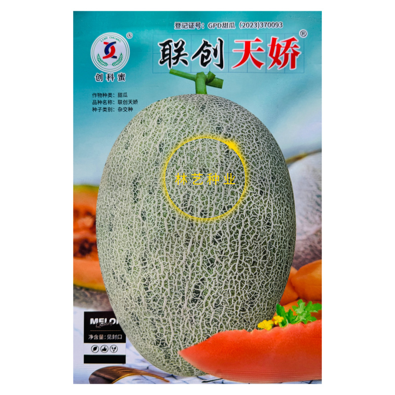 联创天娇哈密瓜种子耐裂西州蜜网纹哈蜜瓜种籽
