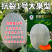 创科蜜25号哈密瓜种子耐裂西州蜜网纹正品新疆哈蜜瓜种籽