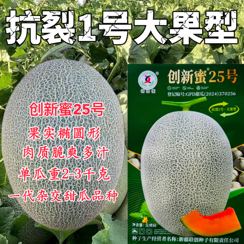 创科蜜25号哈密瓜种子耐裂西州蜜网纹正品新疆哈蜜瓜种籽