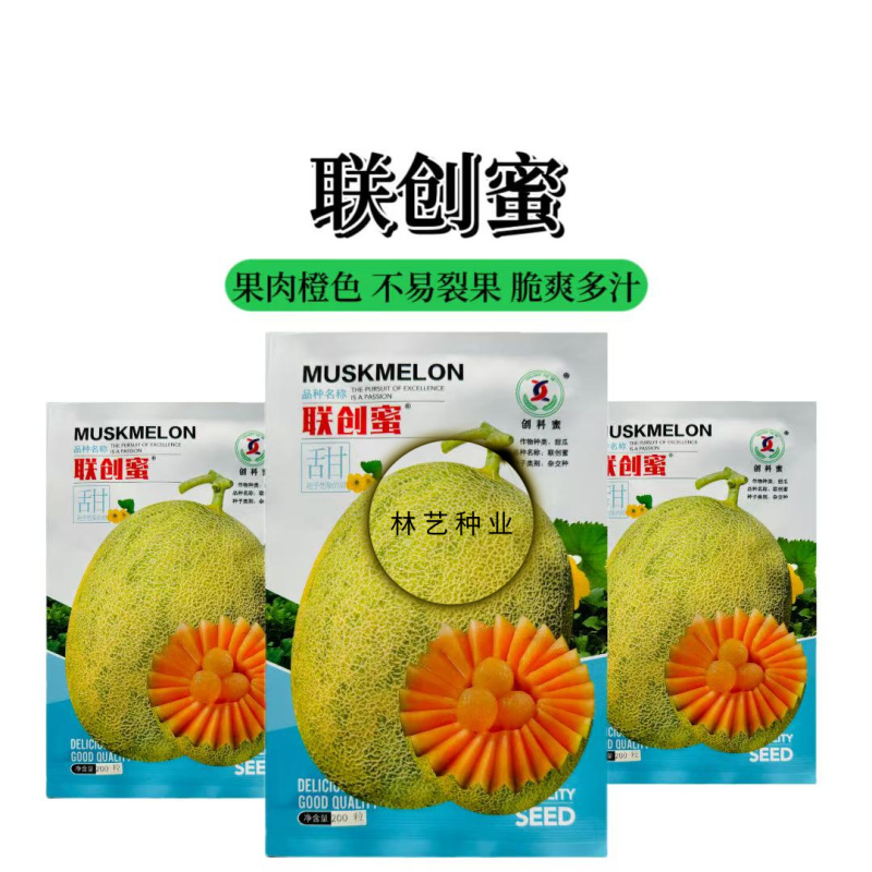 联创蜜甜瓜种子新疆联创种业哈密瓜新品种哈密瓜籽种抗病
