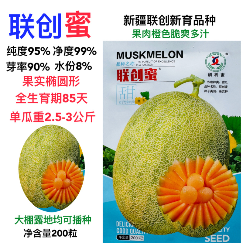 联创蜜甜瓜种子新疆联创种业哈密瓜新品种哈密瓜籽种抗病