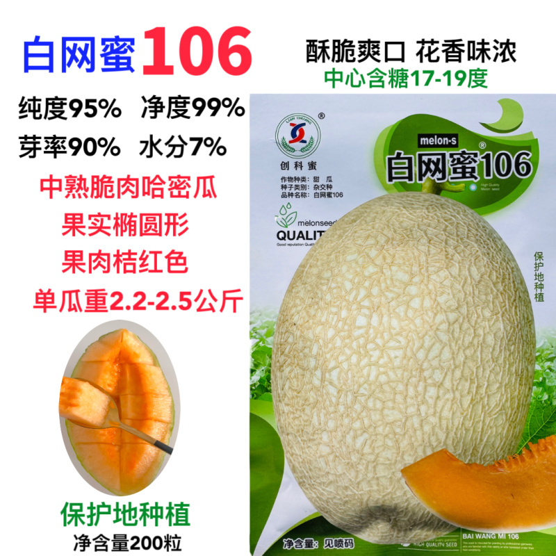 白网蜜106甜瓜种子中熟脆肉椭圆形哈密瓜种子肉质酥脆香浓