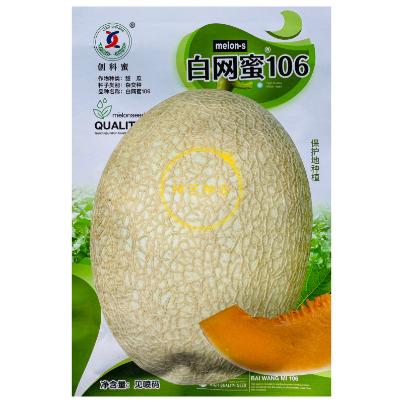 白网蜜106甜瓜种子中熟脆肉椭圆形哈密瓜种子肉质酥脆香浓