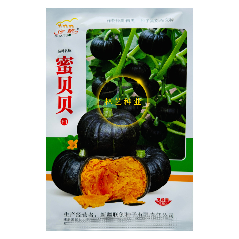 蜜贝贝南瓜种子黑贝贝迷你小南瓜种籽甜糯甘面板栗南瓜高