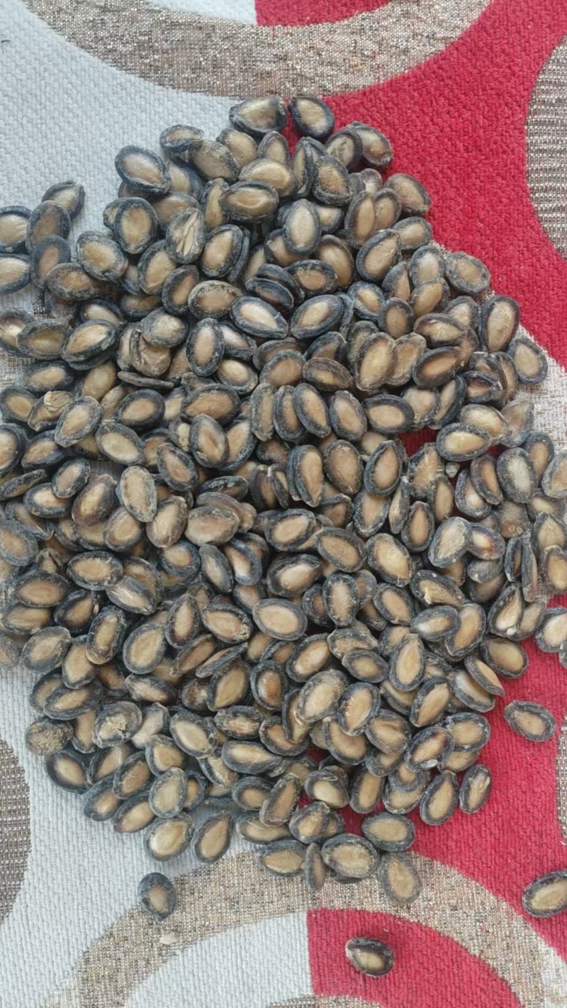 精选大板黑瓜子