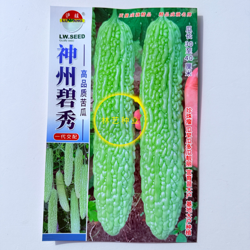 神州碧秀苦瓜种子杂交一代抗病毒性高抗枯萎病斑点病