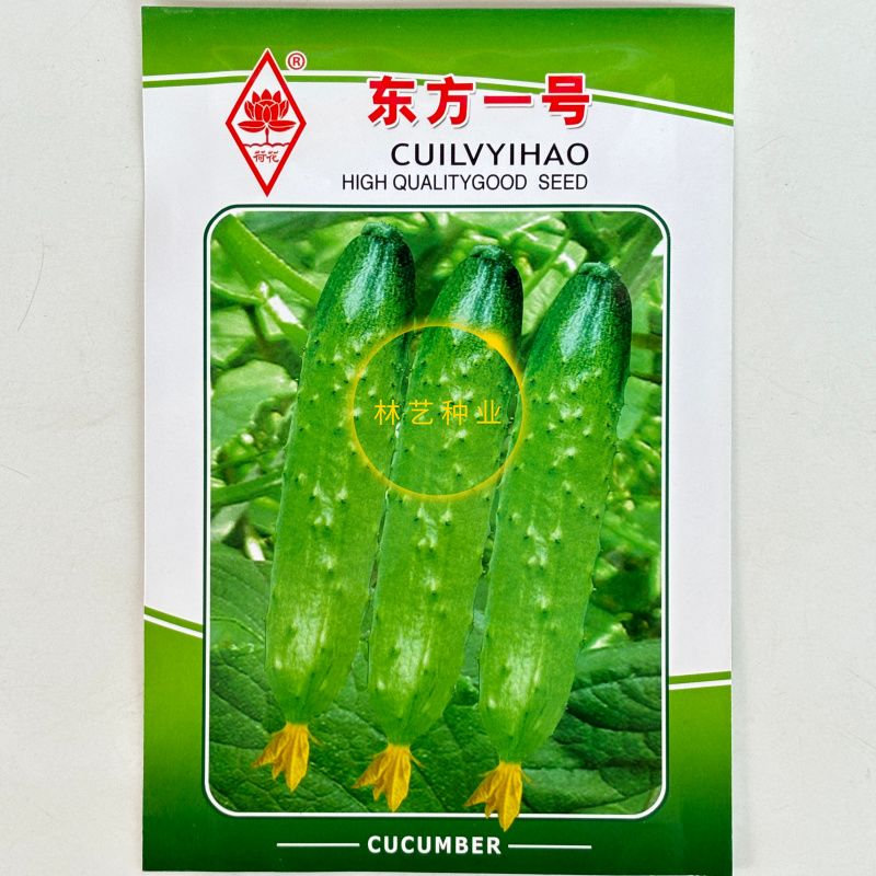 东方一号水果黄瓜种子早熟甜脆生长速度快质脆味香高产春夏季