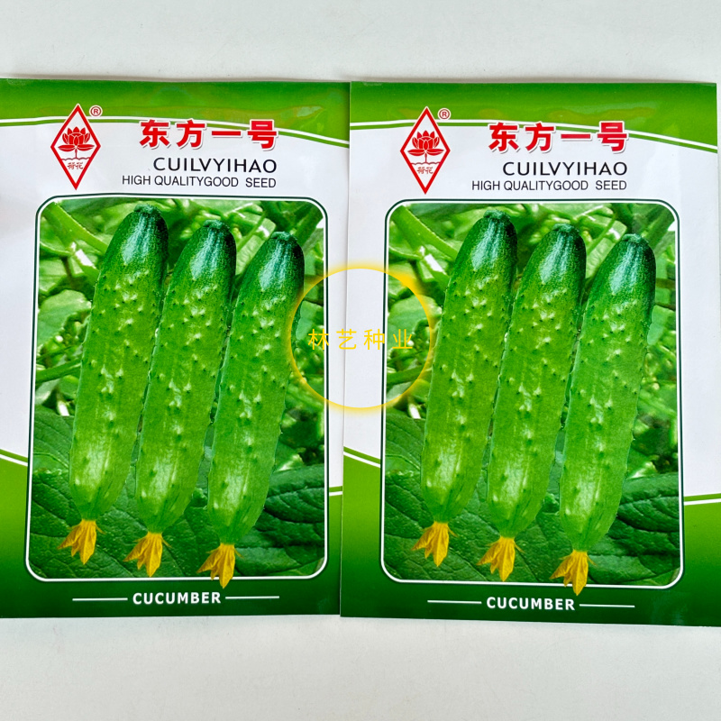 东方一号水果黄瓜种子早熟甜脆生长速度快质脆味香高产春夏季
