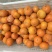 沃柑榨汁果|饮料果|工厂货，皮薄多汁，对接厂家