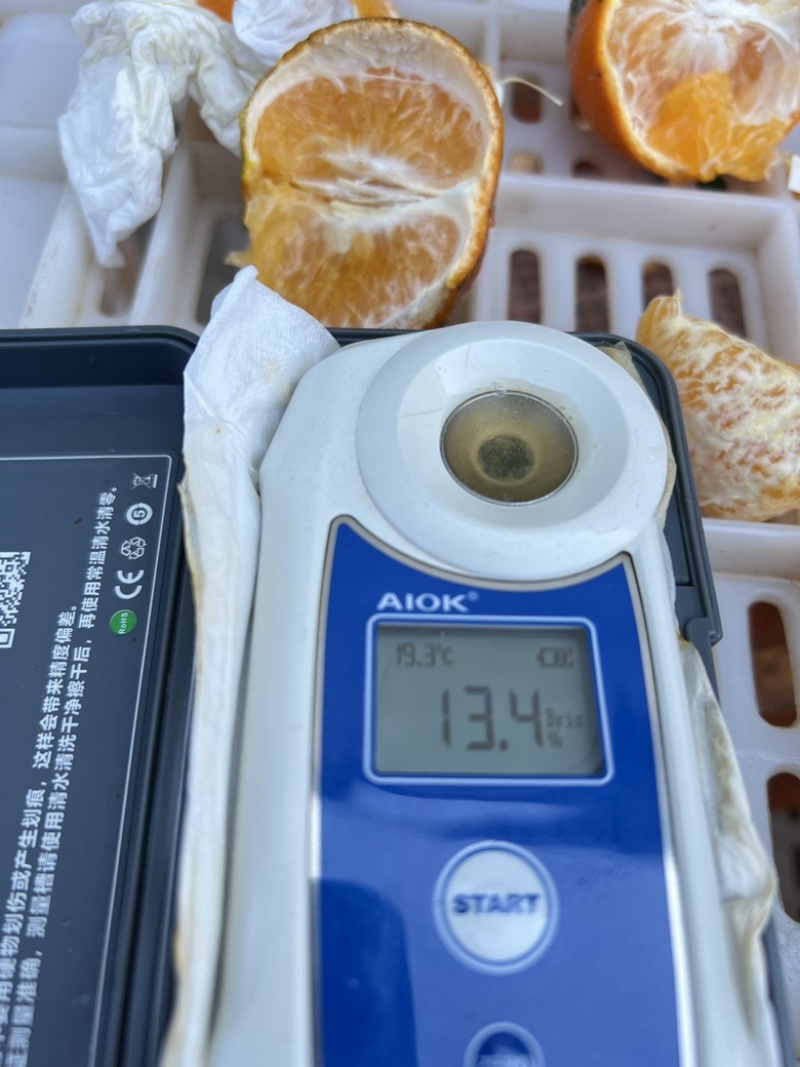 沃柑榨汁果|饮料果|工厂货，皮薄多汁，对接厂家
