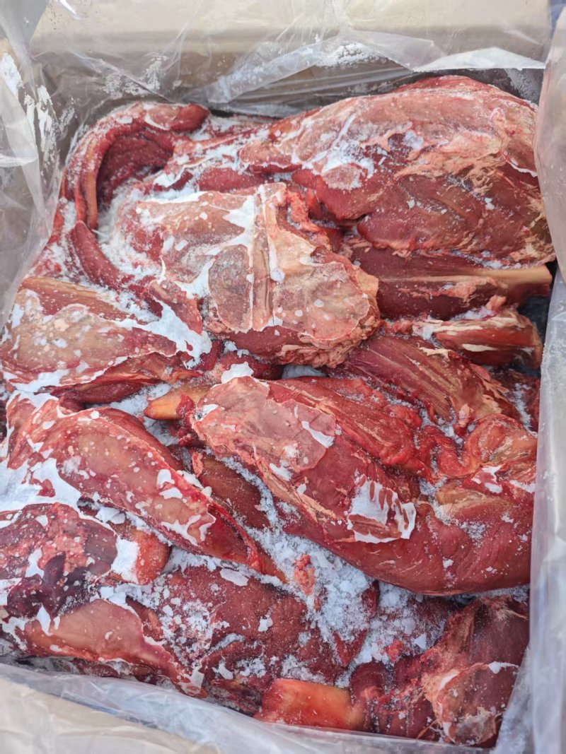 牛后驱肉，牛前驱肉，一件起来，长年有货，量大从优。
