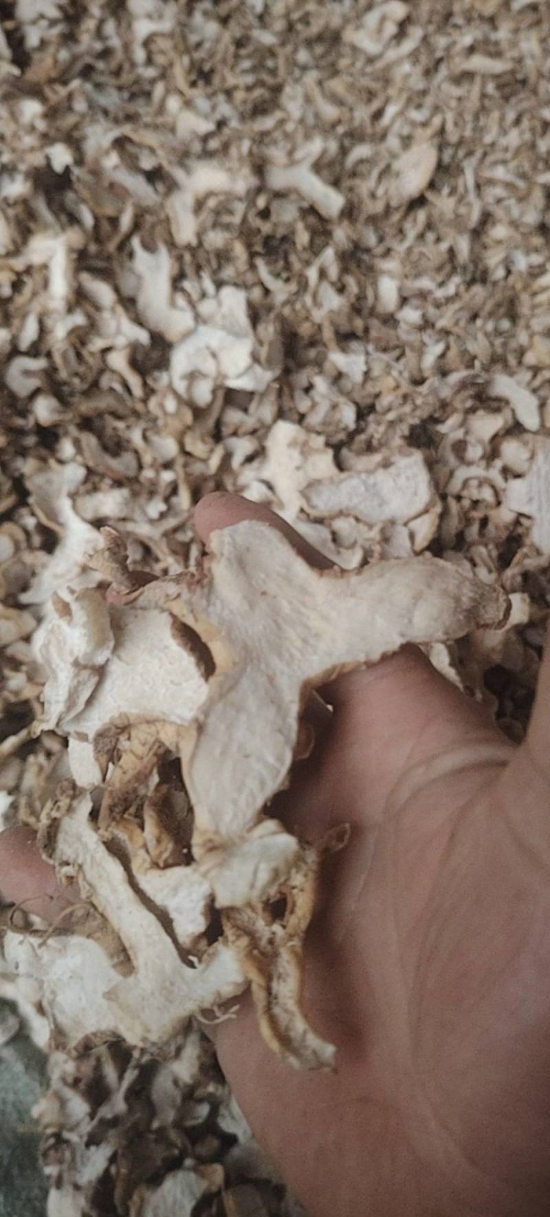 黄精片，四川多花姜型甜黄精，水洗切片烘干