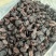 新疆红提干红葡萄干无籽大量现货