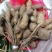 野生牛大力黑牛石山黑牛现货批发可视频看货