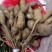 野生牛大力黑牛石山黑牛现货批发可视频看货