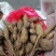 野生牛大力黑牛石山黑牛现货批发可视频看货