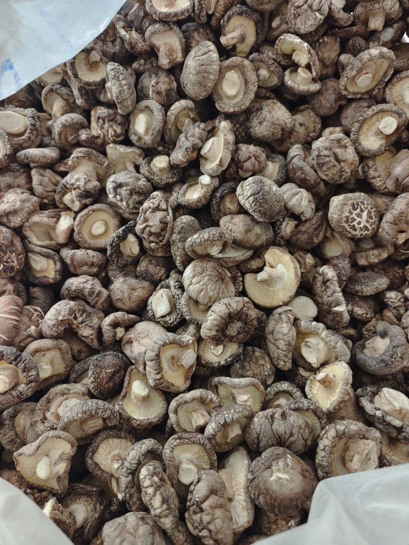 随州香菇精选光面菇3~4cm产地直销品质稳定可出口