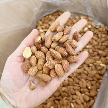 巴旦木果仁去壳纯果肉大量现货