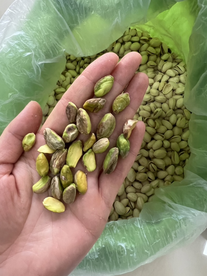 开心果电商货大量现货供应