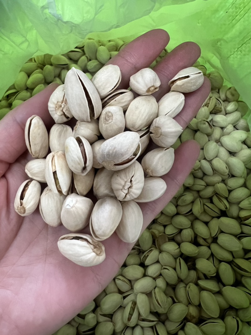 开心果电商货大量现货供应