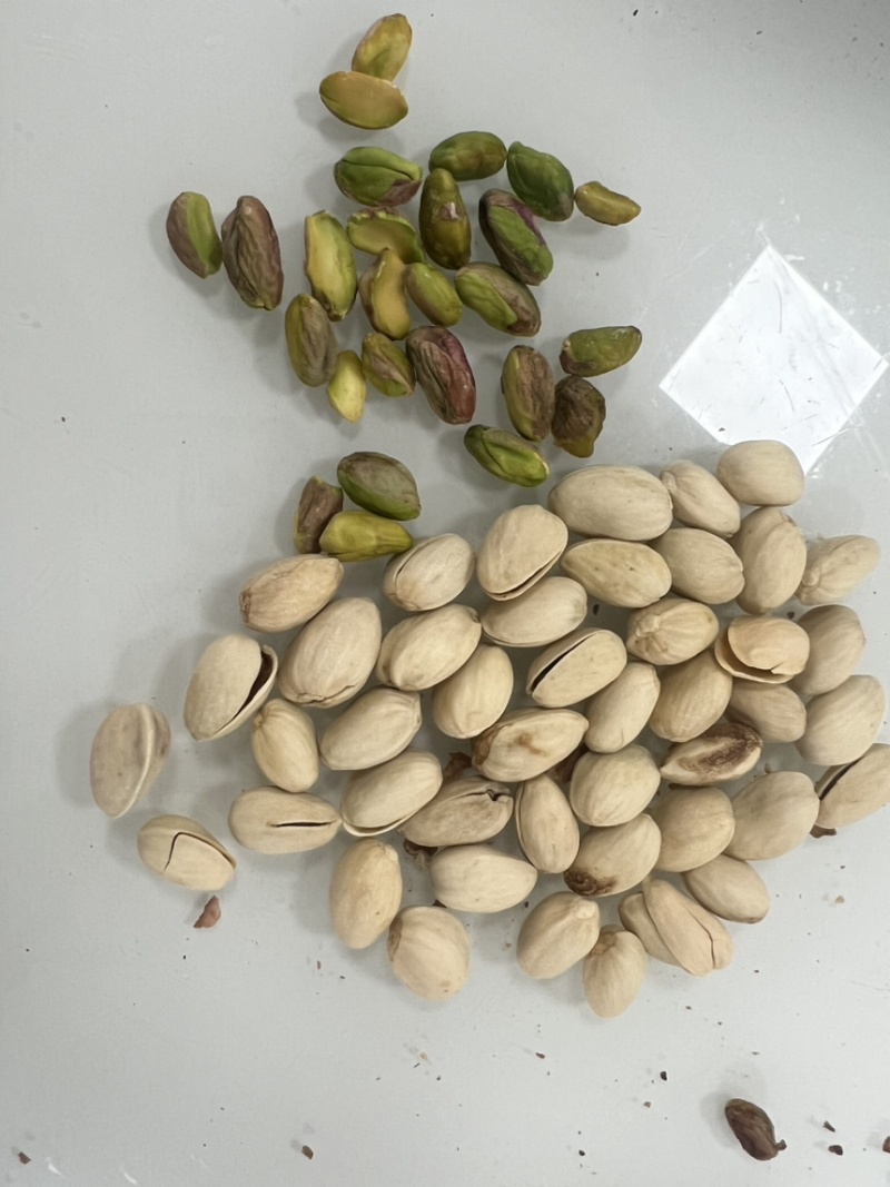 开心果电商货大量现货供应