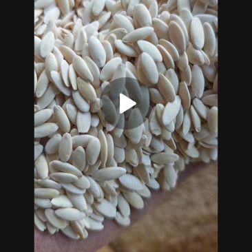 黄瓜籽董董产地直发，一手货源充足，没有中间商赚差价，放心