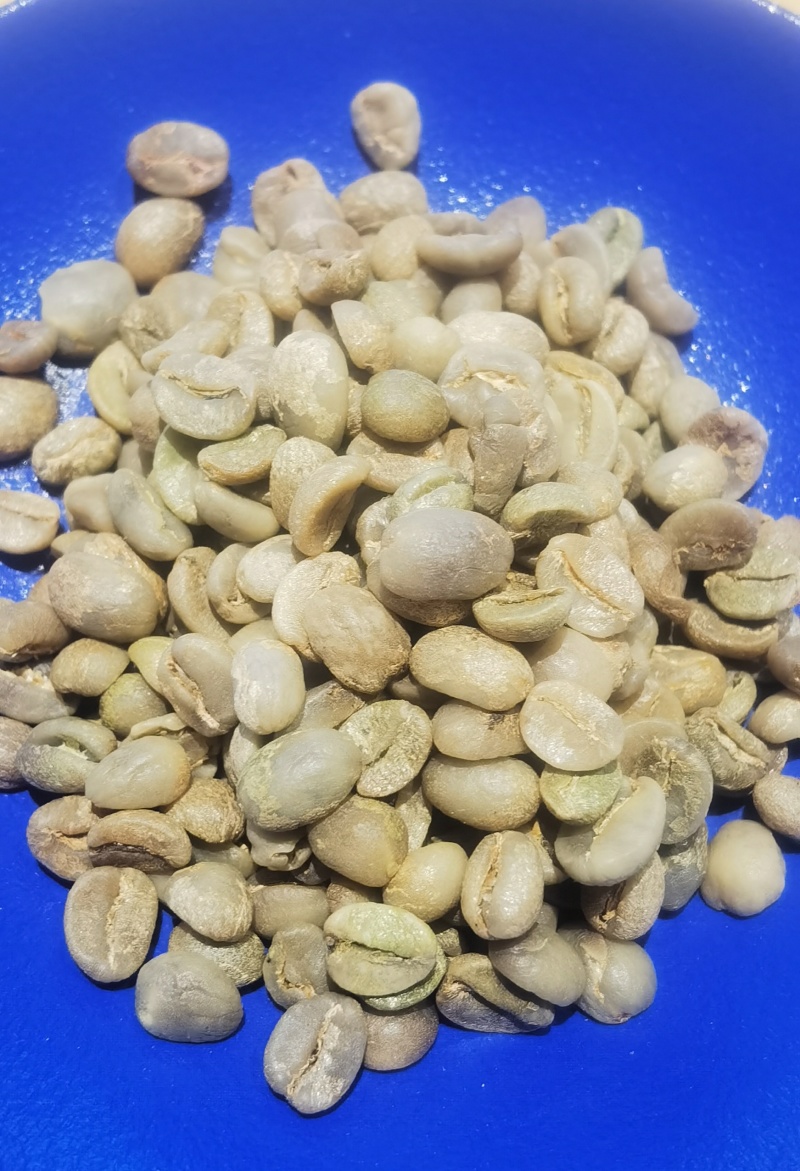 新咖啡豆上市
