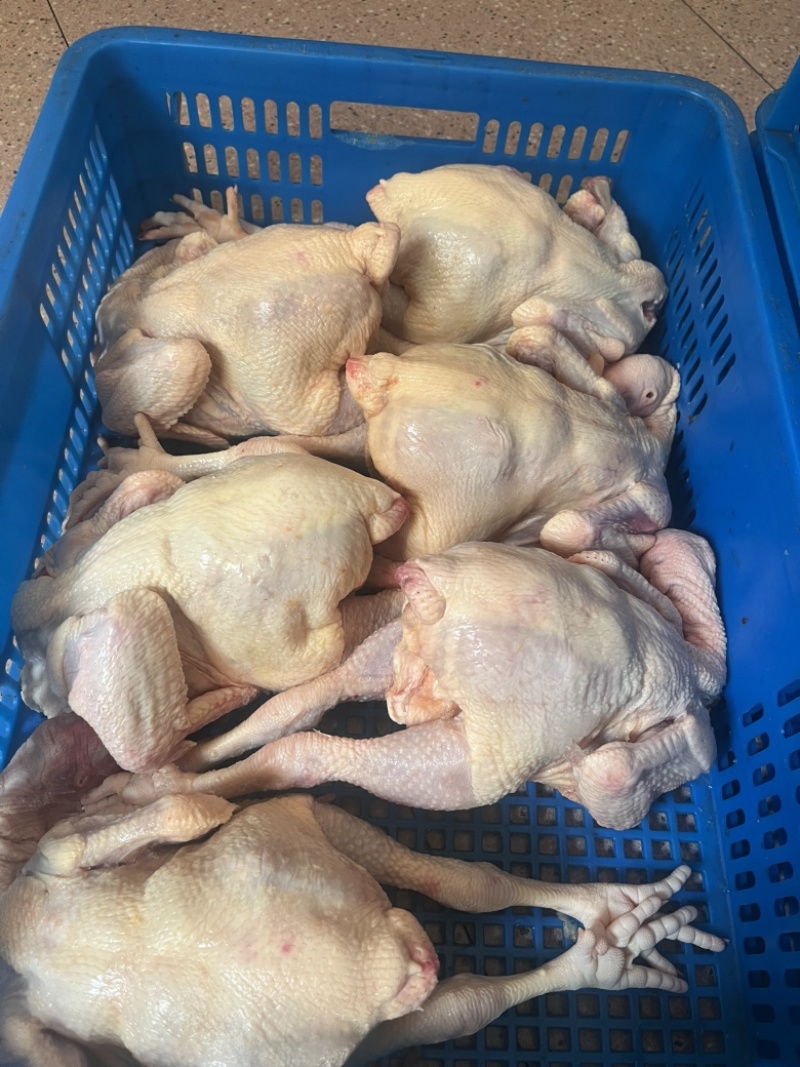鲜品鸡块