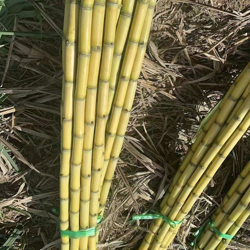 【精选】黄皮甘蔗云南甘蔗质量好价格低爽口多汁