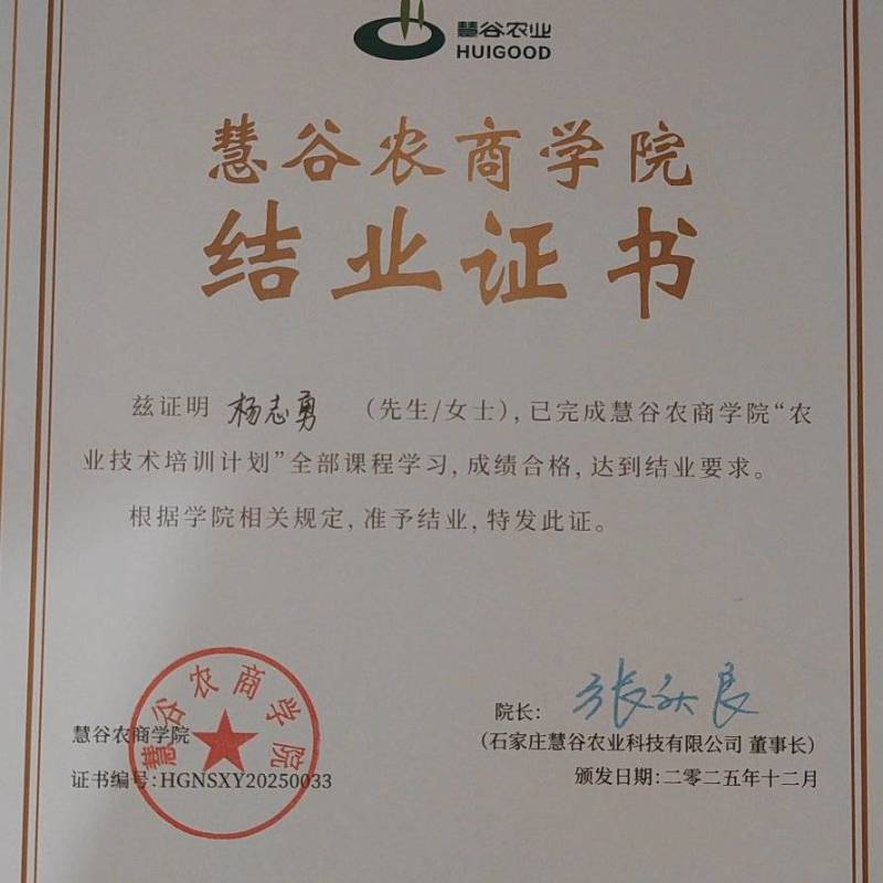 慧谷二号