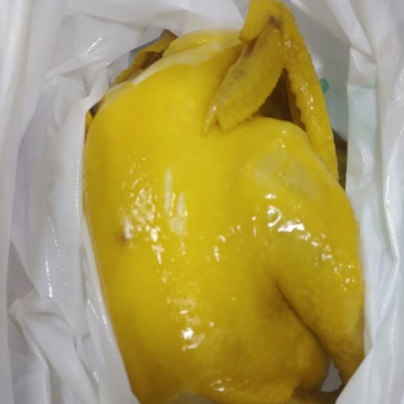 盐焗鸡
