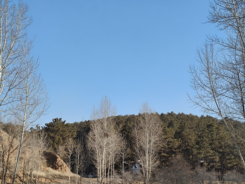 山地